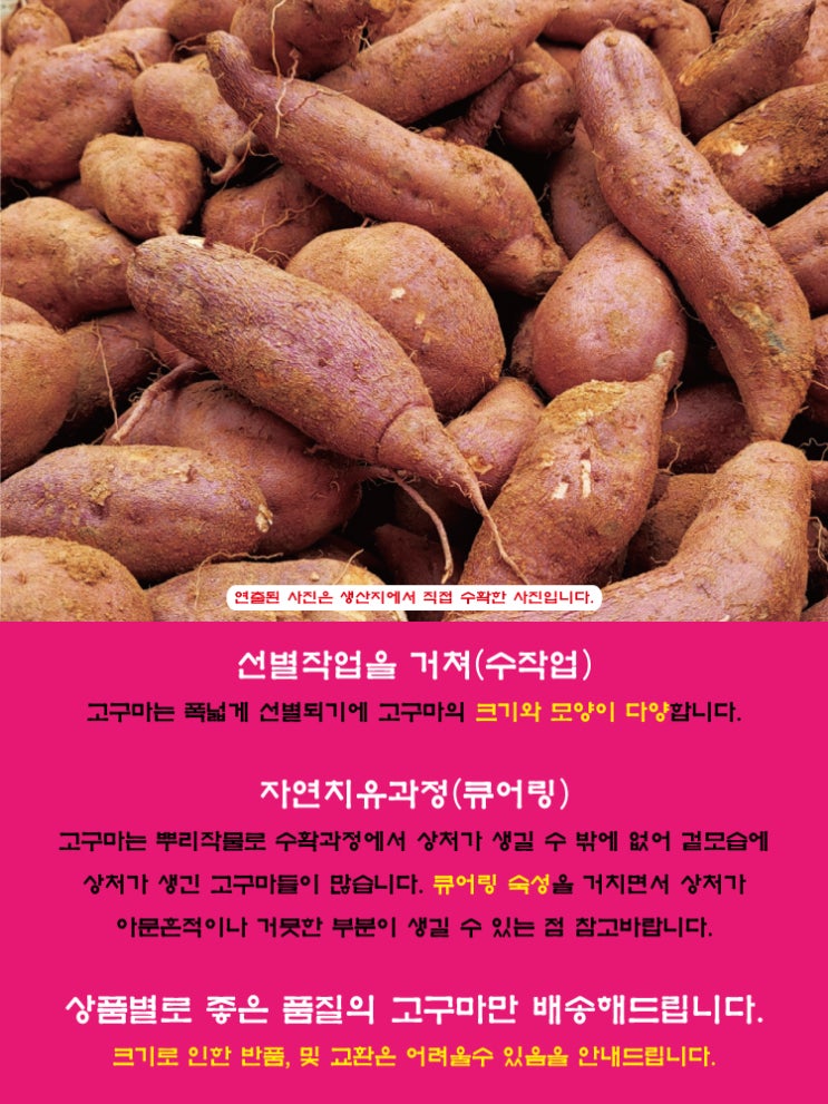  강화고구마 스마트 스토어 첫 판매 성공!
