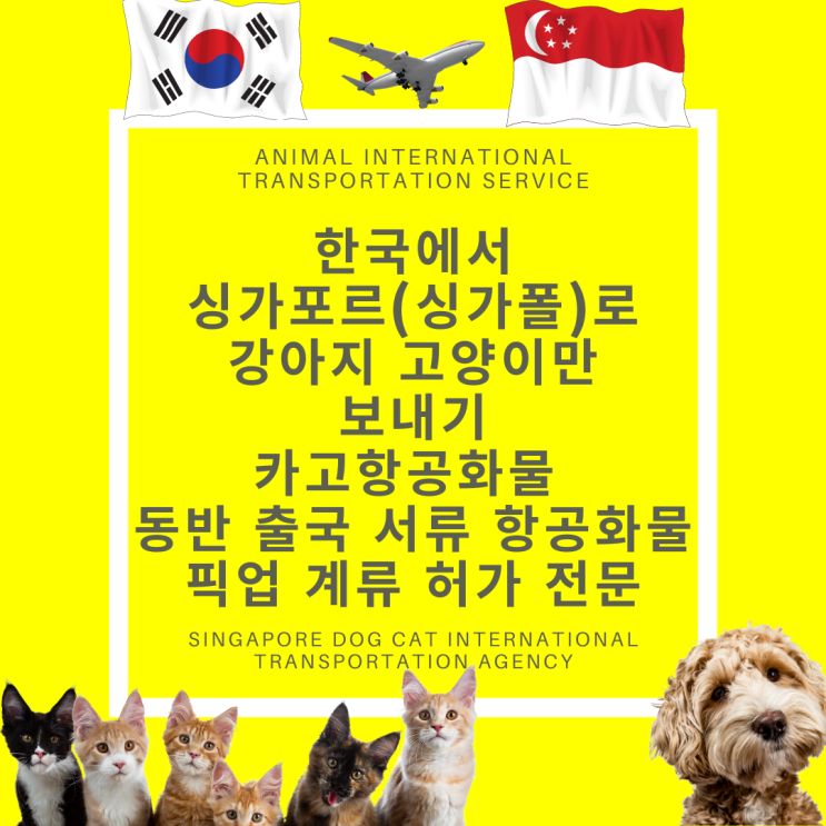  한국에서 싱가포르(싱가폴) 반려동물 고양이 강아지해외운송 고양이 강아지입국 검역 허가 통관 카고화물 계류30일