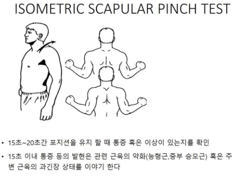 잠실PT , 석촌PT) 어깨 통증, 목통증, 등통증과 관련있는 견갑골 운동이상증(Scapular dyskinesis)을 알고 ...