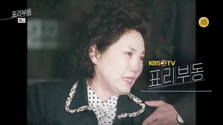 장영자 이철희 부부 어음 사기 7000억 난 피해자다 표리부동 12회 장영자 이철희 부부 어음 사기 7000억 난 피해자다 표리부동 12회