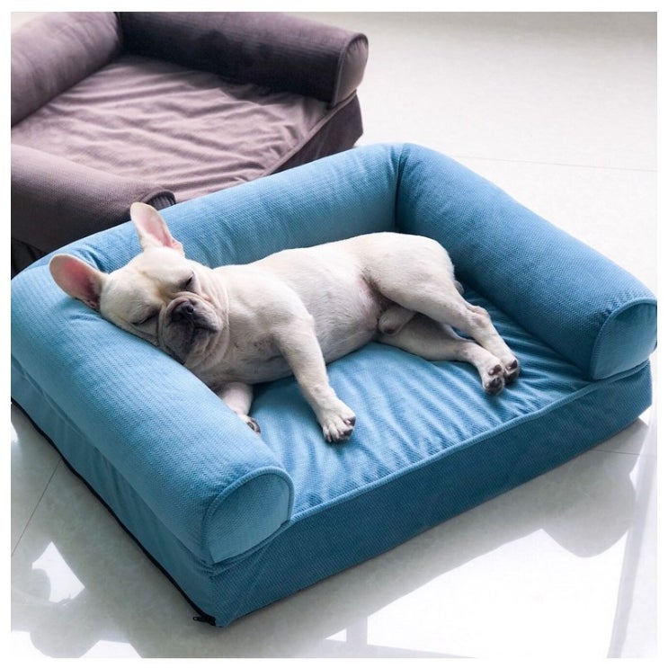 많이 찾는 Madou 푹신 애완용 강아지 이동식 소파 침대 꿀잠 휴식, 푸른색 추천해요