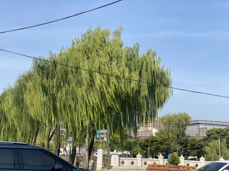  엄마와 수원천 따라 산책하다 만난 수원방화수류정