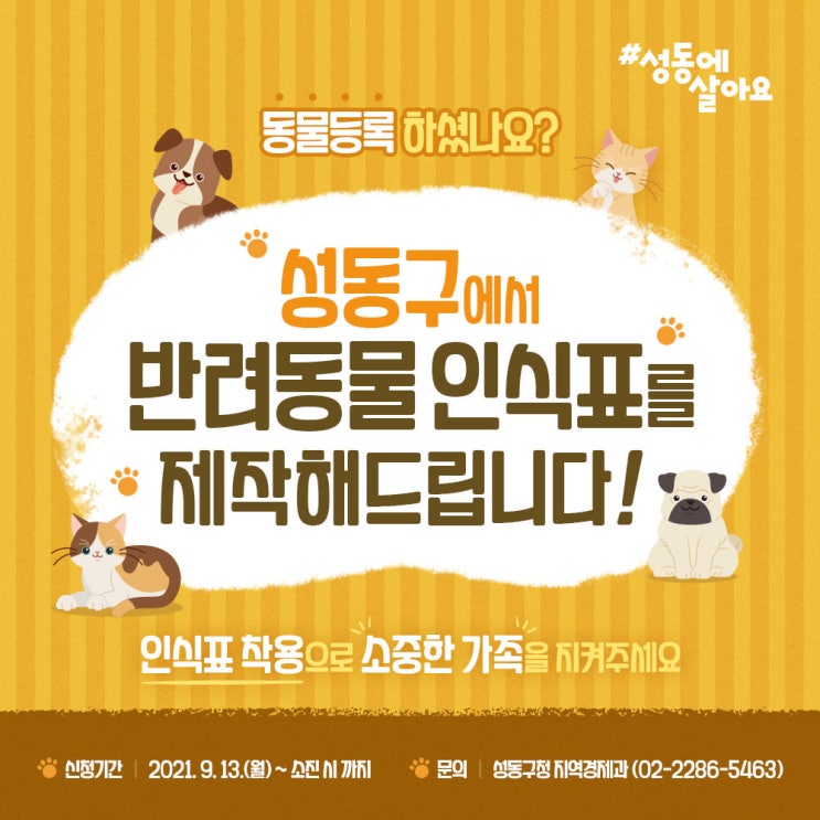 성동구에서 반려동물 인식표를 제작해드립니다! 성동구에서 반려동물 인식표를 제작해드립니다!