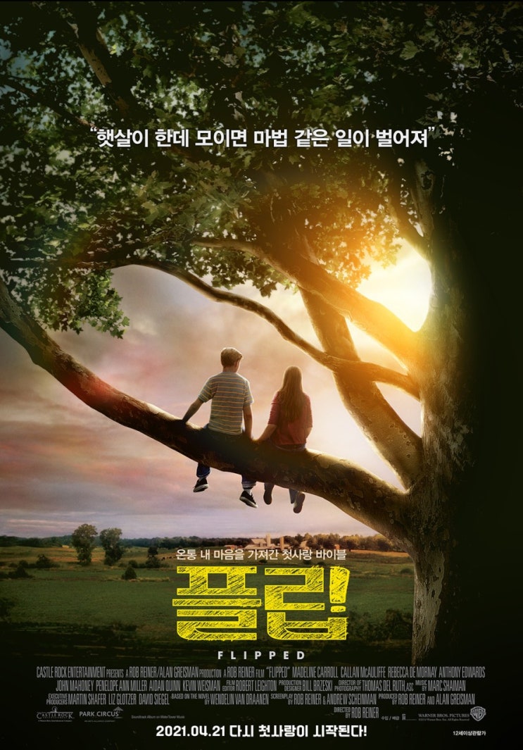  [넷플릭스️영화] 첫사랑의 풋풋한 느낌 ::  플립(Flipped)