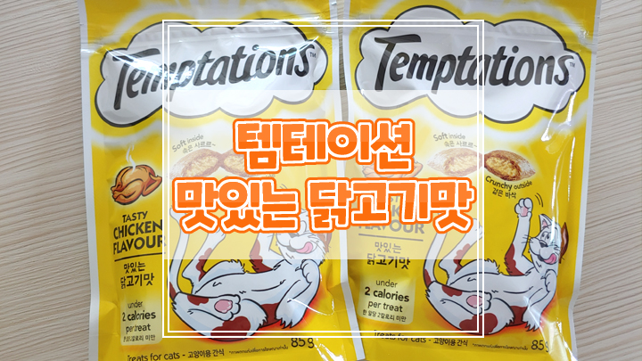  기호성 좋은 템테이션 닭고기맛 겉바속촉 맛있는 후기