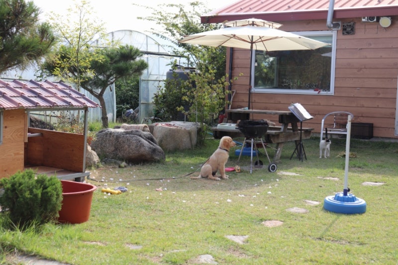 사진 11