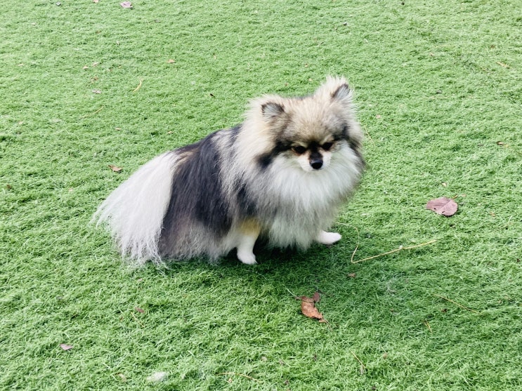  수요일은 유치원가는날~