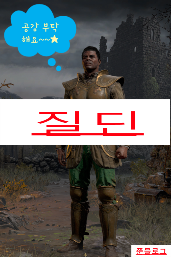  디아블로 2 레저렉션 성기사(팔라딘)/질딘(스킬&스탯 기본세팅)