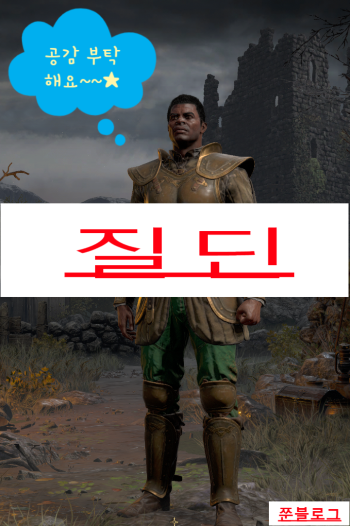 디아블로 2 레저렉션 성기사(팔라딘)/질딘(스킬&스탯 기본세팅)