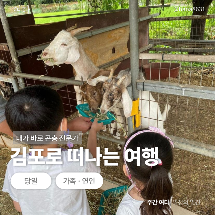  [김포여행]경기도 김포로 떠나는 여행