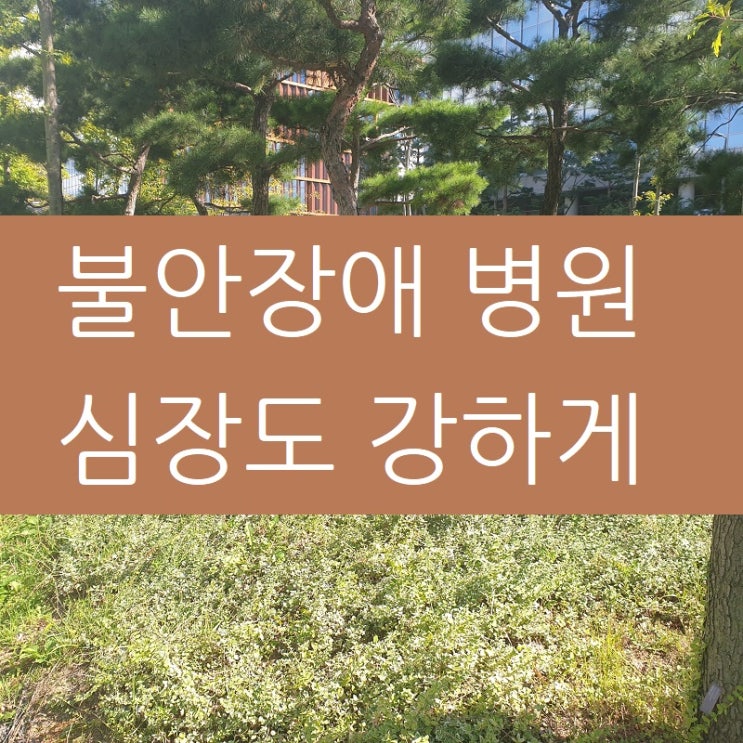 불안장애 병원 선택시 심장 강화 여부도 체크하세요