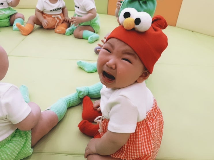  낯가림 심한 아기 기질, 사고형과 다람쥐형으로 이해하기