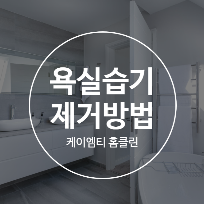 욕실습기제거방법 간단하게 알아봐요 욕실습기제거방법 간단하게 알아봐요
