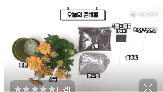  [~10/13/초등] 서울식물원 국화심기