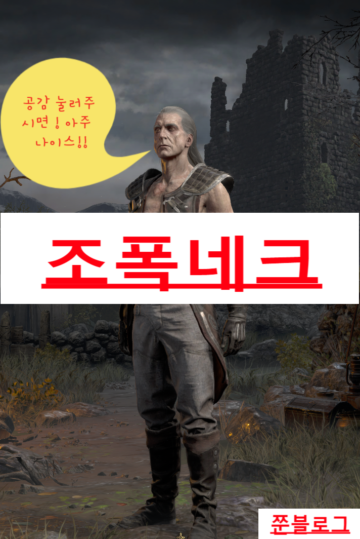  디아블로 2 레저렉션 강령술사(네크로맨서)/조폭네크(조폭넥)(스킬&스탯 기본세팅)