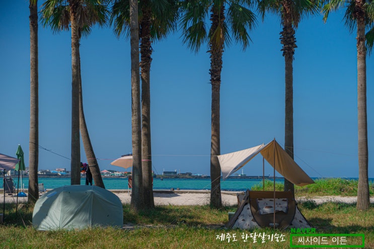  제주 한달살기 숙소 SE 추천 "서부 최고의 무료야영장 금능해수욕장야영장"