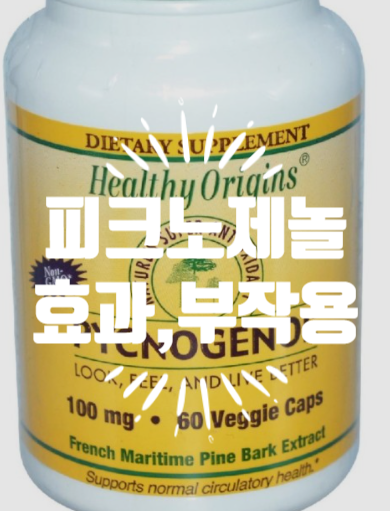  피크노제놀 효능 효과 7가지 부작용 복용 법 ! 갱년기증상 완화
