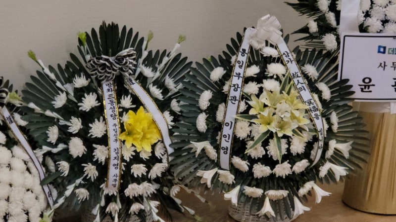 프리덤라이프 이미지