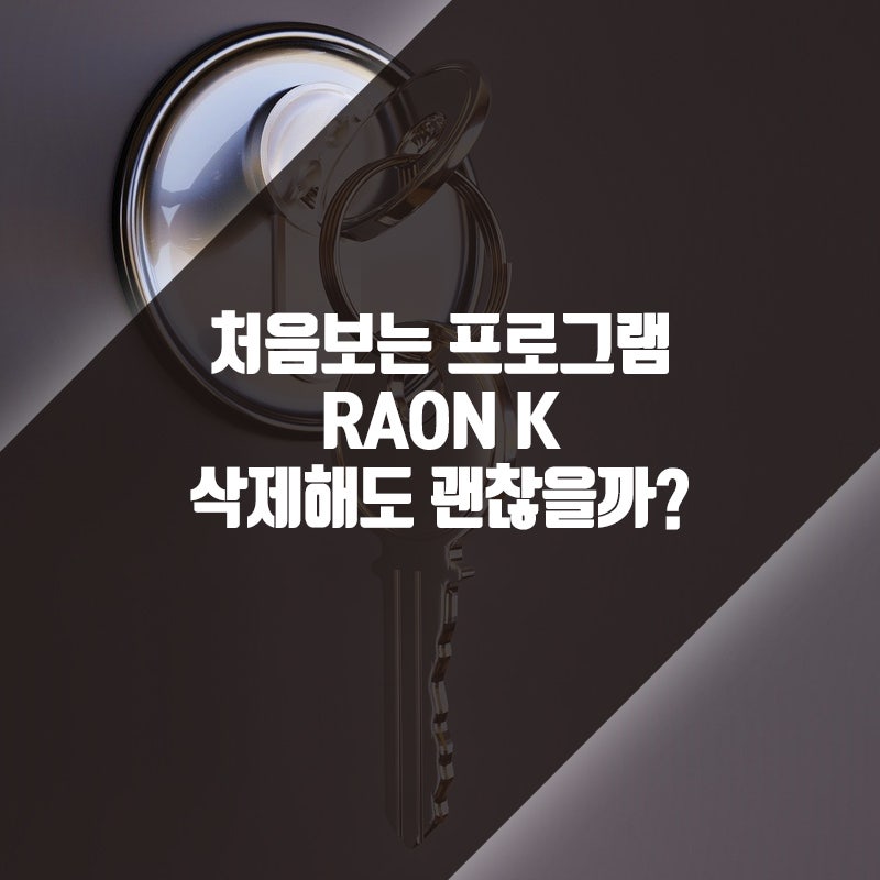 raon k 2018 삭제해도 괜찮은 프로그램일까요?