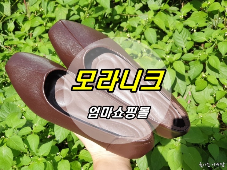  엄마쇼핑몰 모라니크 가성비 좋은 활용 후기 (구두, 양산 구매)