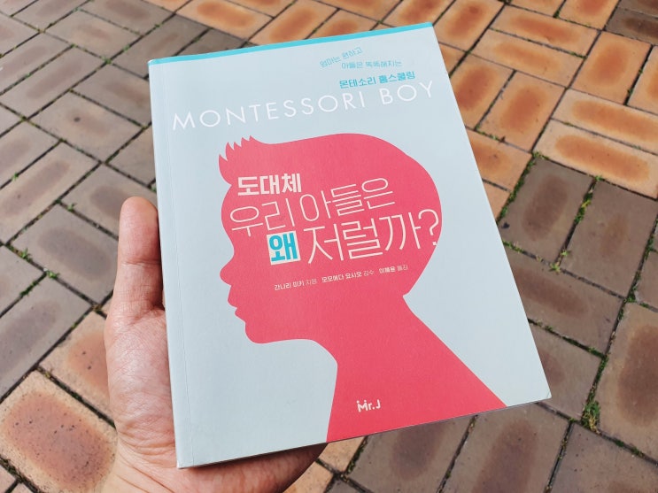  3살 우리 아기가 민감기? 육아추천도서 도대체 우리 아들은 왜 저럴까