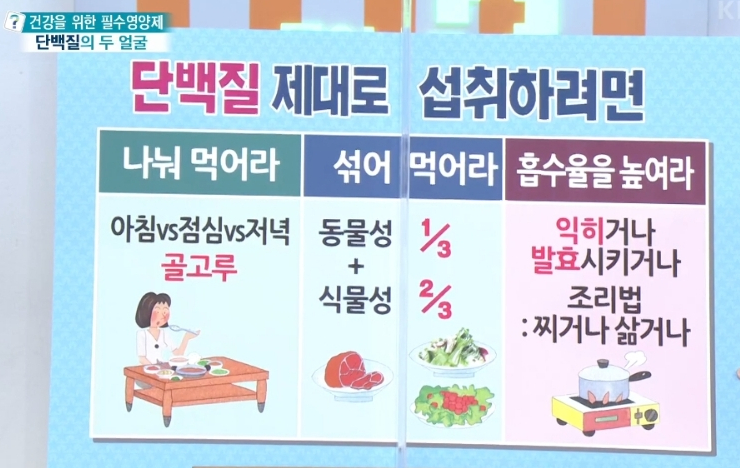  단백질 제대로 잘 섭취하는 방법(ft. 하루 권장 섭취량)