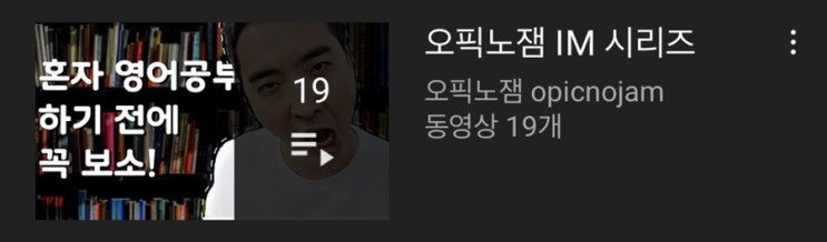  [OPIc] 오픽 첫 시험 1주일 만에 AL 달성한 후기 (독학, 공부방법)