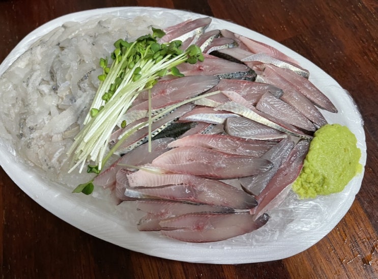  화이자 백신2차 맞기전 몸보신! / 양이가 강아지유모차 활용하는법!