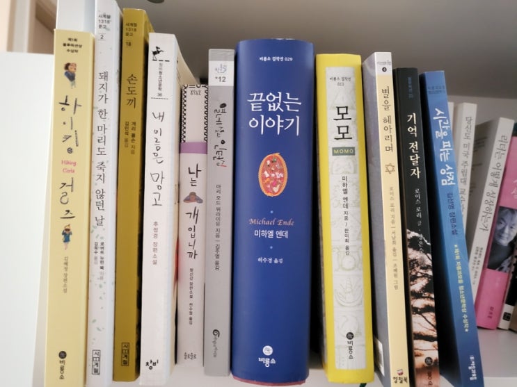 중학생 독서 토론 책 추천 및  진행하는 방법