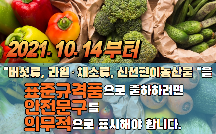  [경매사의 유통정보] 10월 14일부터는 안전문구를 의무적으로 표시하셔야 합니다!