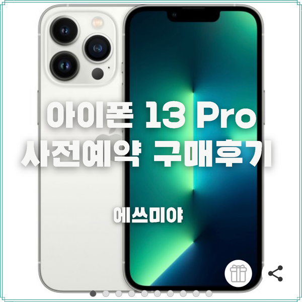  [자급제 사전 예약 할인] 고민 끝에 구매 결정한 아이폰 13 프로 실버 자급제 (Iphone 13 pro) 늦은 사전 예약 성공 후기 (일시품절 추가물량 구매 방법)