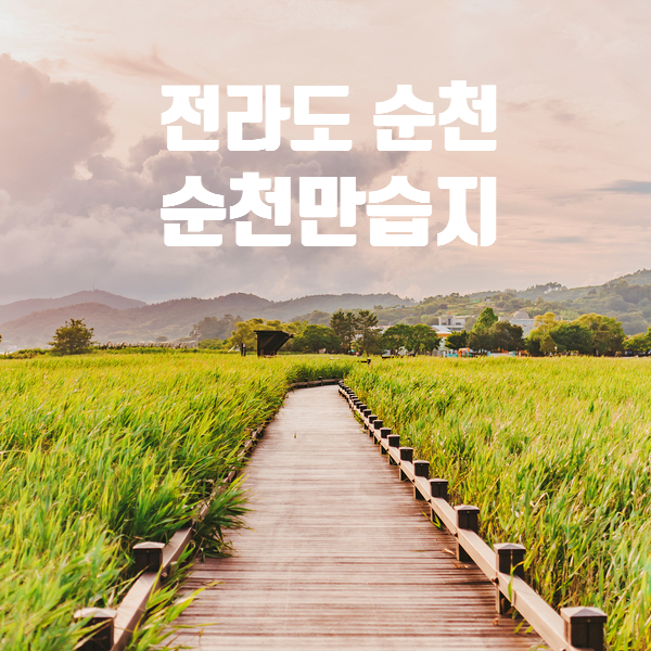  순천 여행지 순천만습지 갈대밭 용산전망대 일몰