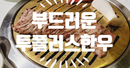  서래마을맛집 소고기 투플러스 한우 한국회관 한우명가 부드럽다!