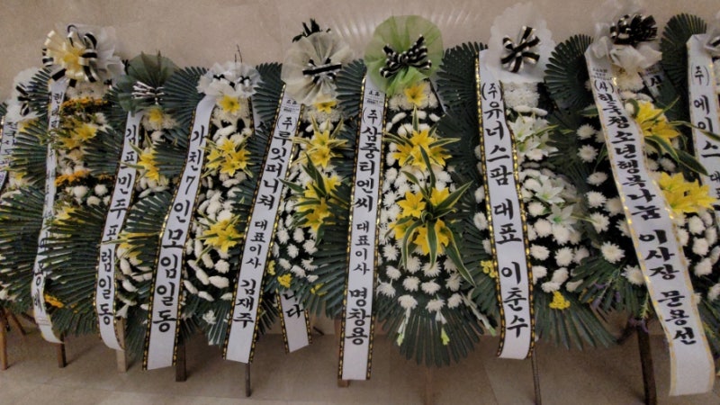프리덤라이프 이미지