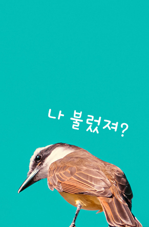  [골프상식] 골프용어에서 새 이름의 유래를 알아보자