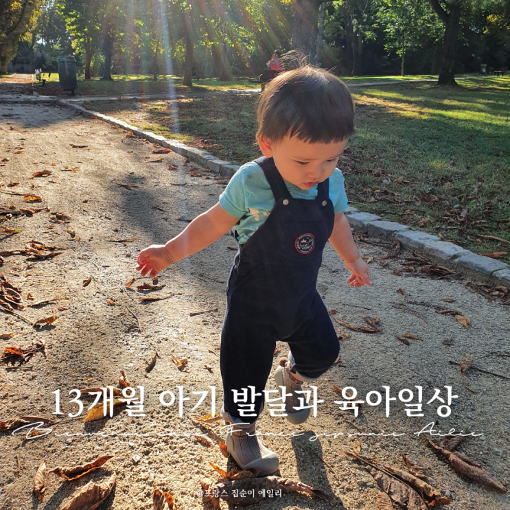  13개월 아기 발달, 이유식, 의자 탈출, 유아 볼풀장, 공원과 놀이터 외출, 테라스 놀이