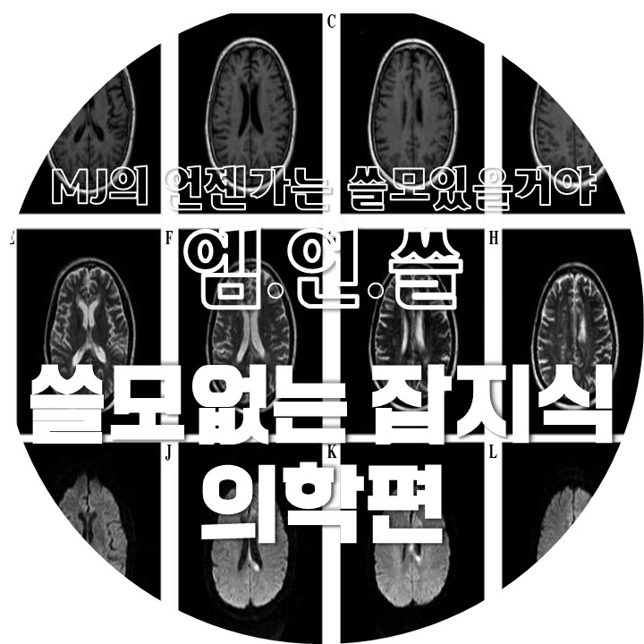  쓸모없는 잡지식 의학편