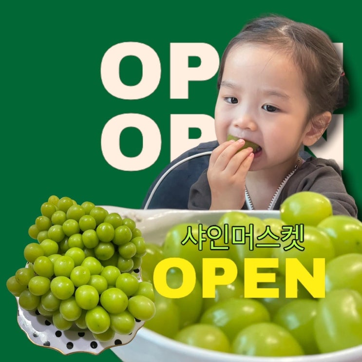  [마감]샤인머스켓 공구: 10월 마지막 제품 서둘러주세요!