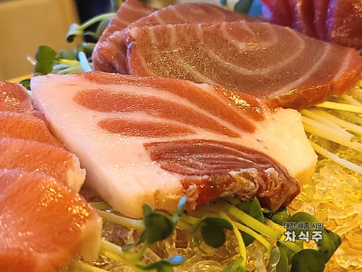  대전참치맛집 궁동 싸이코참치 후기