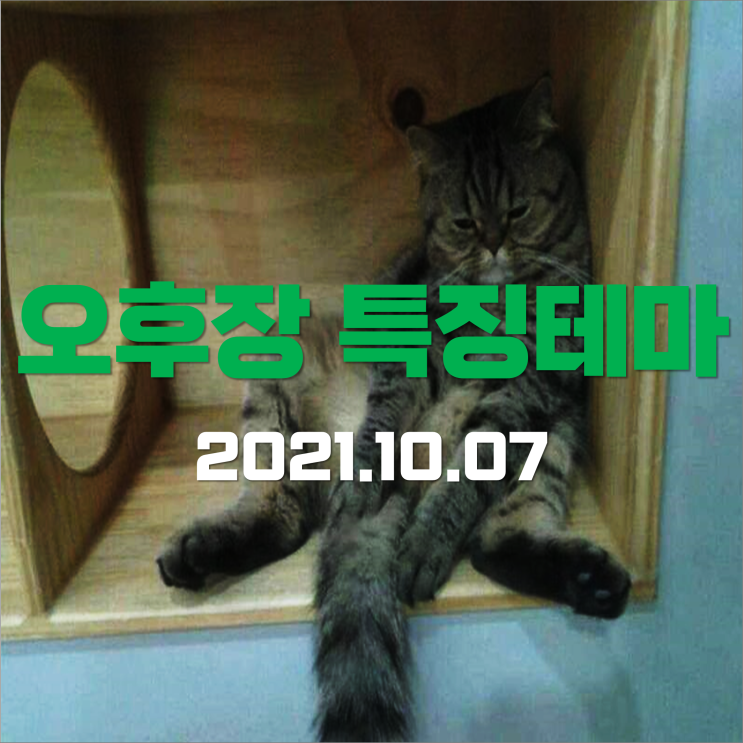  [오후장 특징테마] 국내증시 너무 우울하다