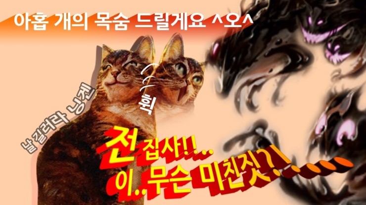  목숨교환덱 (매직더개더링 아레나)