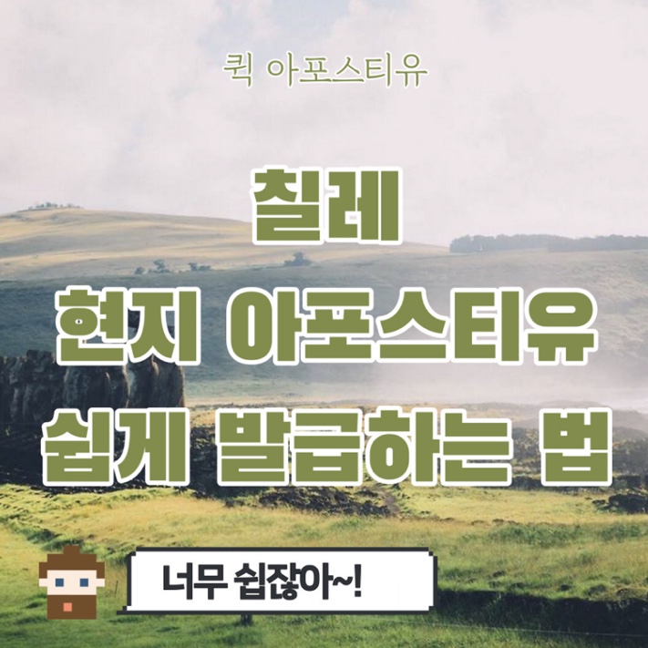  칠레현지아포스티유 쉽게 발급하는방법