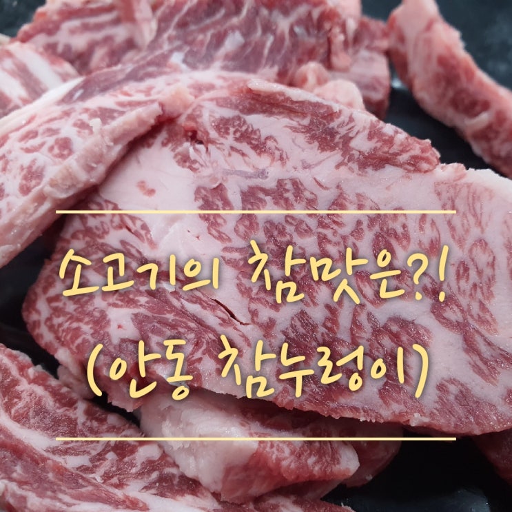  안동 한우 맛집!!안동참누렁이 식육식당!! 소고기의 참 맛을 느껴보세요(안동 소고기 맛집,안동 현지인 추천 한우 맛집,안동 한우 택배,안동 육회,안동 식육식당)