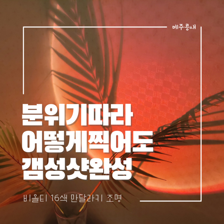  스타일리쉬한 집꾸미기 감성 선셋조명 :: 비올티 만달라키 조명 16색