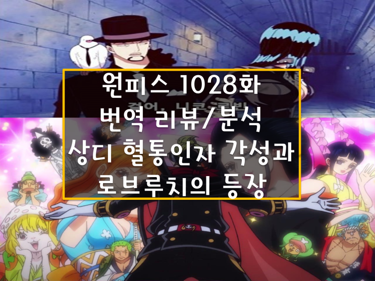 원피스 1028화 번역 리뷰 분석(링크), 상디 혈통인자 각성 떡밥과 재등장하는 로브 루치 세계정부 목적은 로빈?