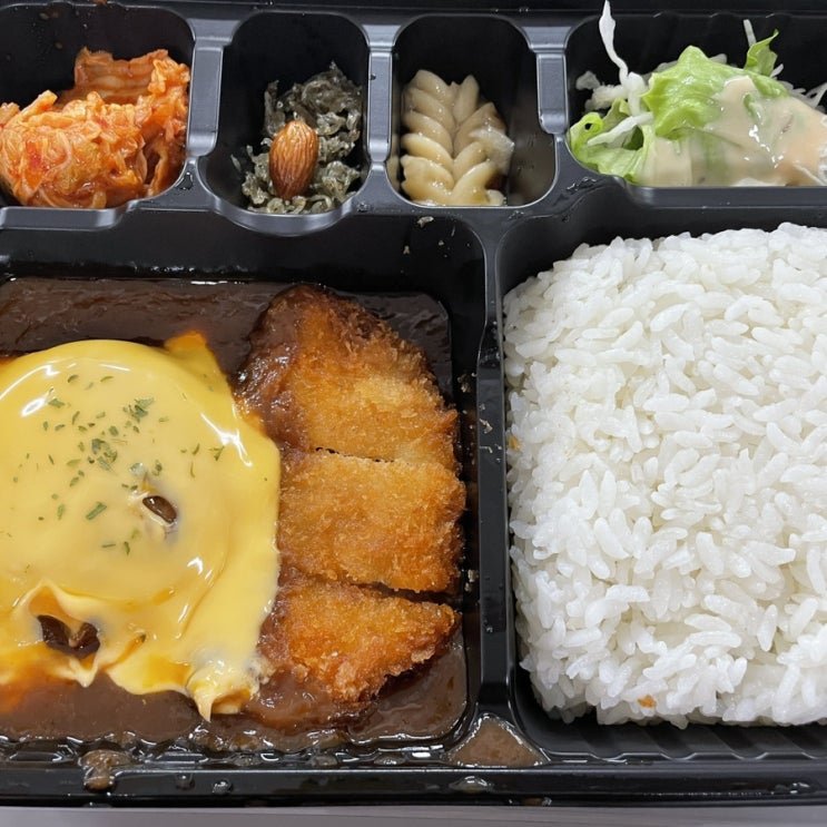  한솥 신메뉴 데미함박 돈까스도시락 내돈내산 솔직한 맛평가하기