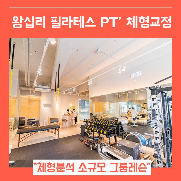  리커버필라테스 왕십리점 체형교정과 근력향상 (feat. 성동구 1:1 PT 필라테스 전문 )