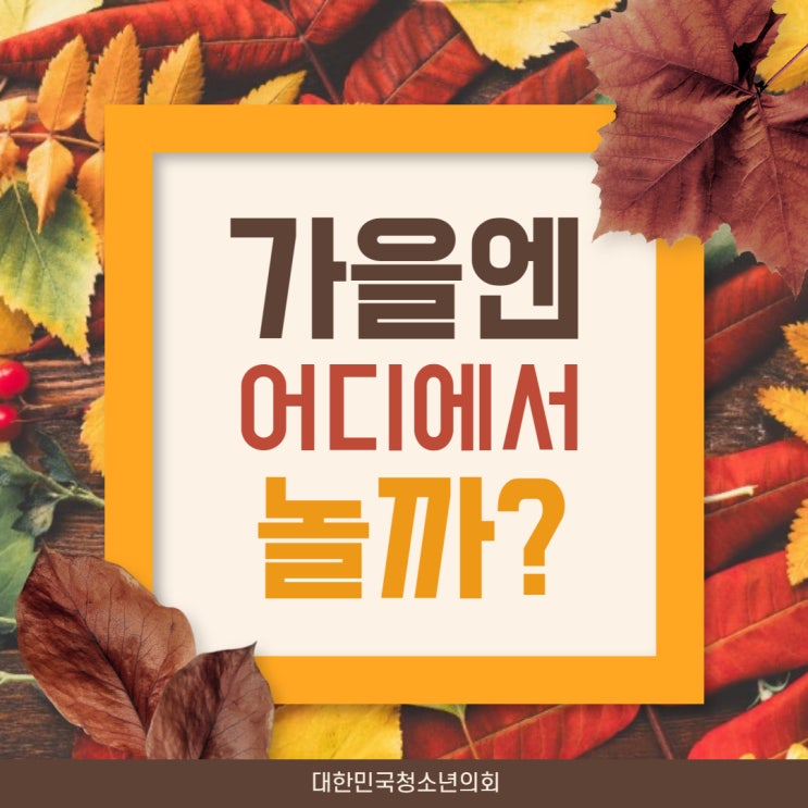 [가을] 대청의와 함께 알아보는 가을 여행지