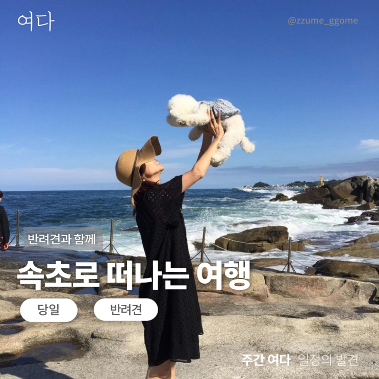  [속초여행]반려견과 속초로 떠나는 여행
