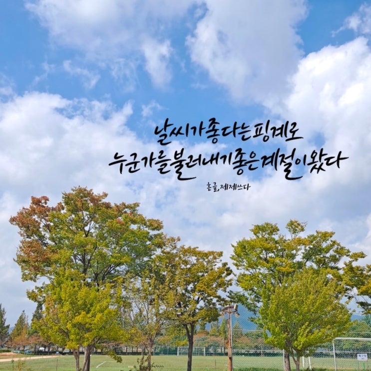  가을에 어울리는 좋은 글귀